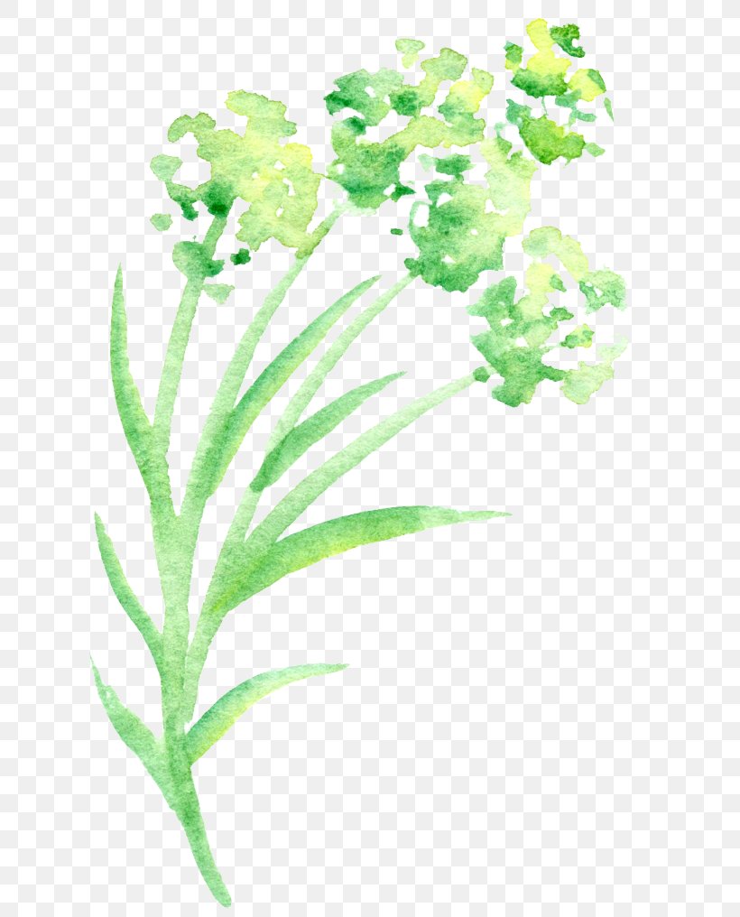Green Petal Watercolor Painting Flower, PNG, 633x1016px, Green, Aquarium Decor, Color, Designer, Floral Design Download Free