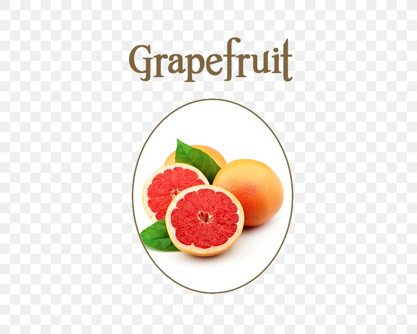 Juice Flavor Grapefruit Food, PNG, 566x658px, Juice, Apple, Auglis, Balsamic Vinegar, Citric Acid Download Free
