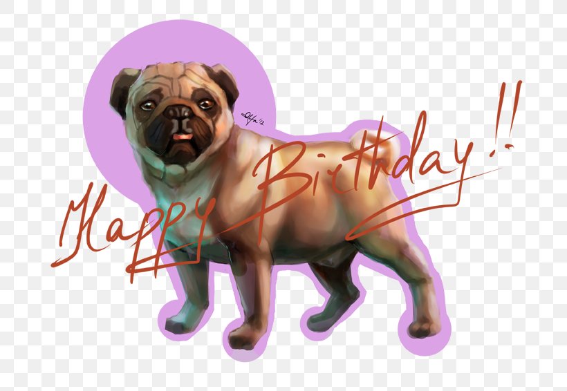 Pug Puppy Love Dog Breed Toy Dog, PNG, 800x566px, Pug, Breed, Carnivoran, Crossbreed, Dog Download Free