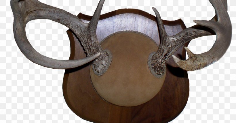 Antler Deer Horn Alaska Moose Chronic Wasting Disease, PNG, 1200x630px, Antler, Alaska Moose, Bighorn Sheep, Chronic Wasting Disease, Covariance Download Free