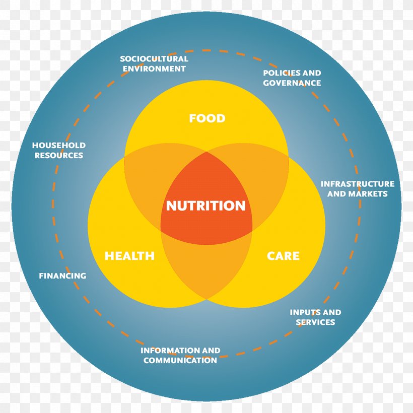 Nutrition Systems Theory Health Diagram, PNG, 1200x1200px, Nutrition, Brand, Concept, Diagram, Food Pyramid Download Free