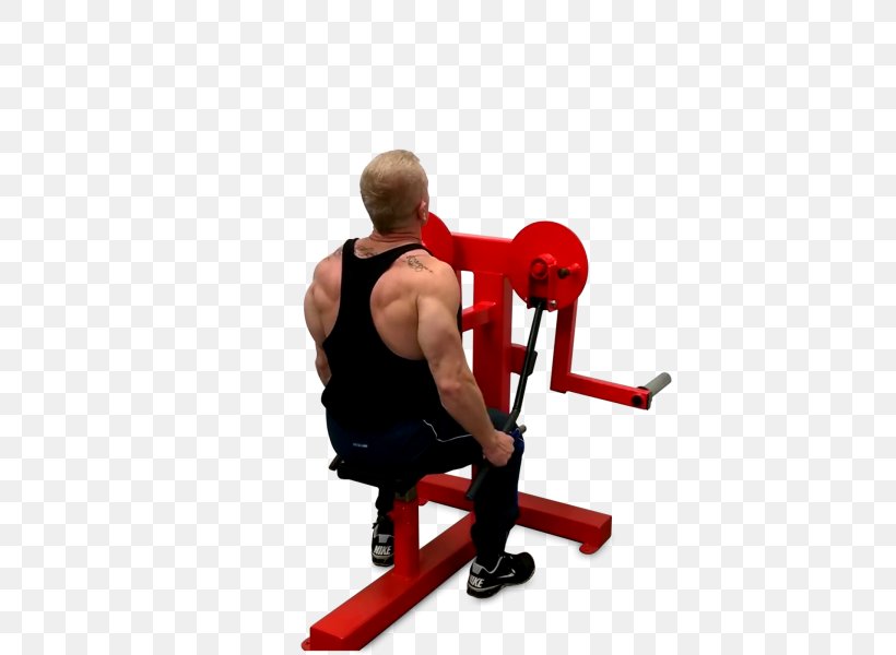 Weight Training Rear Delt Raise Fly Overhead Press Exercise Equipment, PNG, 600x600px, Watercolor, Cartoon, Flower, Frame, Heart Download Free
