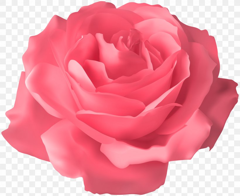 Blue Rose Clip Art, PNG, 8000x6540px, Rose, Blue Rose, China Rose, Color, Cut Flowers Download Free