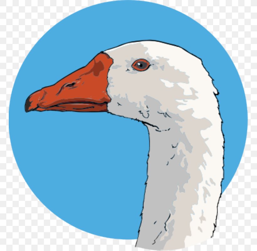 Charlotte's Web Goose Computer Icons Clip Art, PNG, 764x800px, Goose, Animation, Beak, Bird, Blue Download Free
