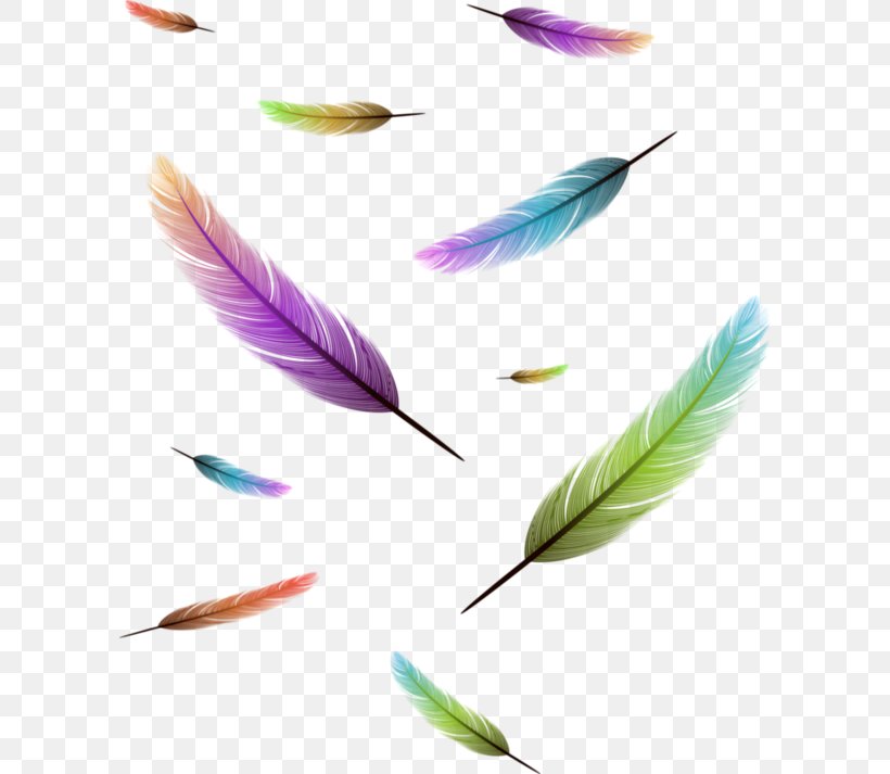 Feather, PNG, 600x713px, Feather, Art, Bird, Close Up, Drawing Download Free
