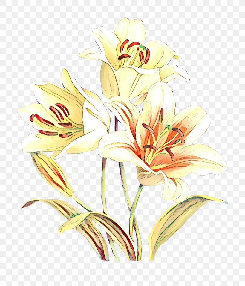 Floral Design Cut Flowers Flower Bouquet Jersey Lily, PNG, 1370x1600px, Floral Design, Alstroemeriaceae, Amaryllis, Amaryllis Belladonna, Amaryllis Family Download Free