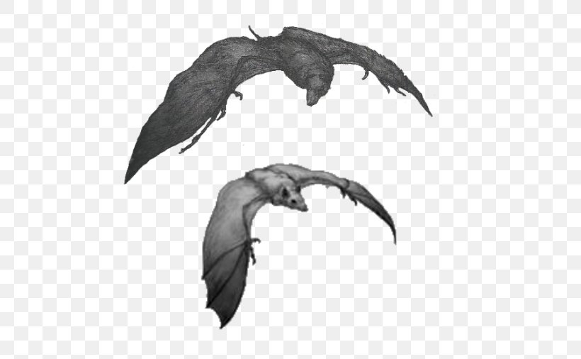 Bat Silverwing Wikia Carnivore, PNG, 516x506px, Bat, Ancestor, Beak, Bird, Black Download Free