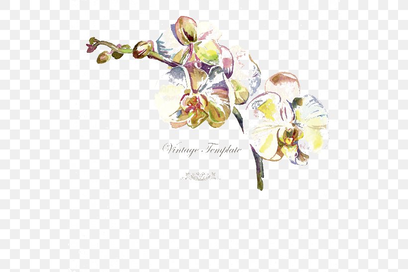 Stock Photography Royalty-free Drawing Illustration, PNG, 546x546px, Stock Photography, Branch, Drawing, Floral Design, Flower Download Free