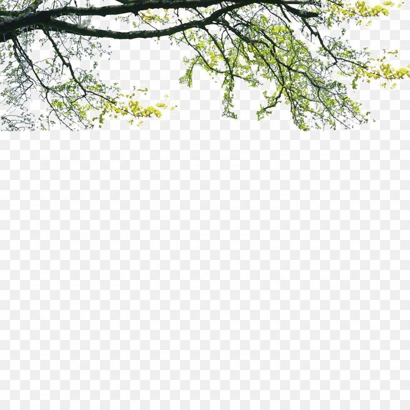 Tree Poster Landscape, PNG, 1500x1500px, Tree, Architecture, Area, Branch, Grass Download Free