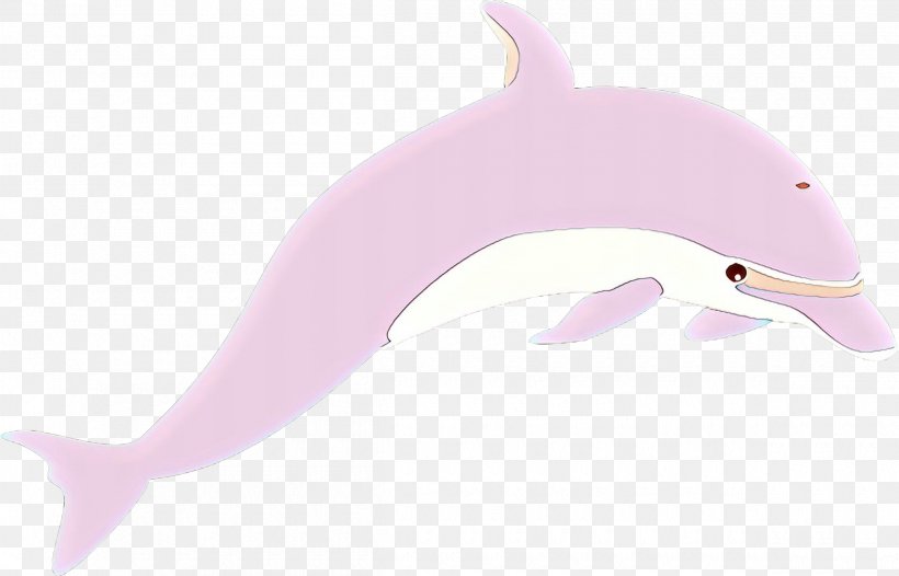 Tucuxi Common Bottlenose Dolphin Product Design Pink M, PNG, 2400x1541px, Tucuxi, Bottlenose Dolphin, Cetacea, Common Bottlenose Dolphin, Common Dolphins Download Free