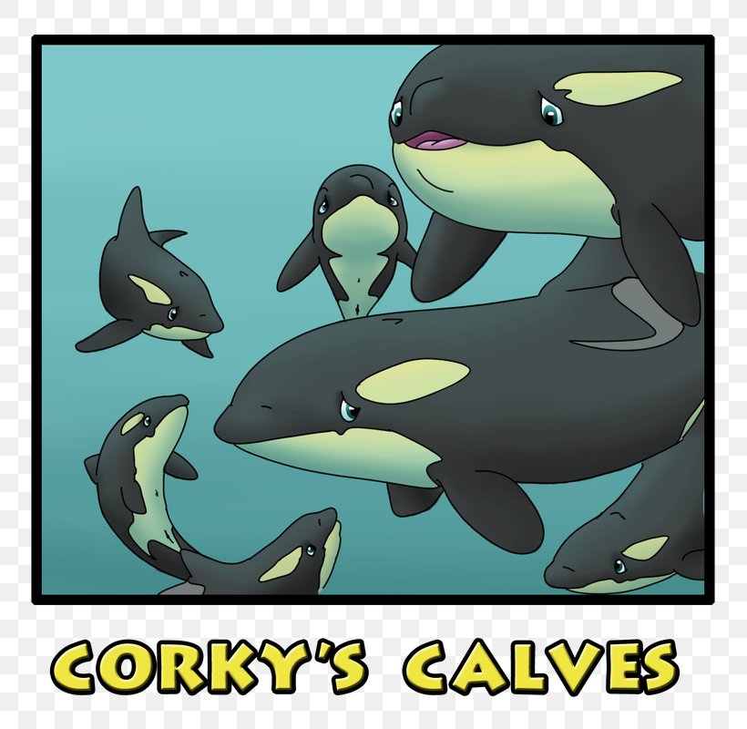 Captive Killer Whales Porpoise Dolphin Corky, PNG, 817x800px, Killer Whale, Captive Killer Whales, Captivity, Cartoon, Cetacea Download Free