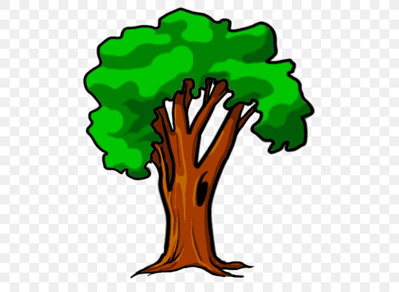 Clip Art Tree Plant Broccoli Symbol, PNG, 600x600px, Tree, Broccoli, Plant, Symbol Download Free