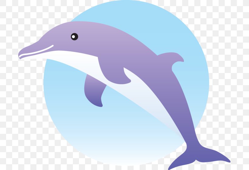Common Bottlenose Dolphin Short-beaked Common Dolphin Clip Art, PNG, 699x559px, Common Bottlenose Dolphin, Beak, Document, Dolphin, Fauna Download Free