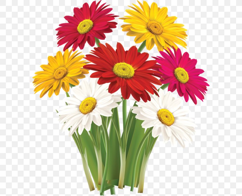 Flower Greeting & Note Cards Clip Art, PNG, 600x666px, Flower, Annual Plant, Aster, Chrysanths, Cut Flowers Download Free