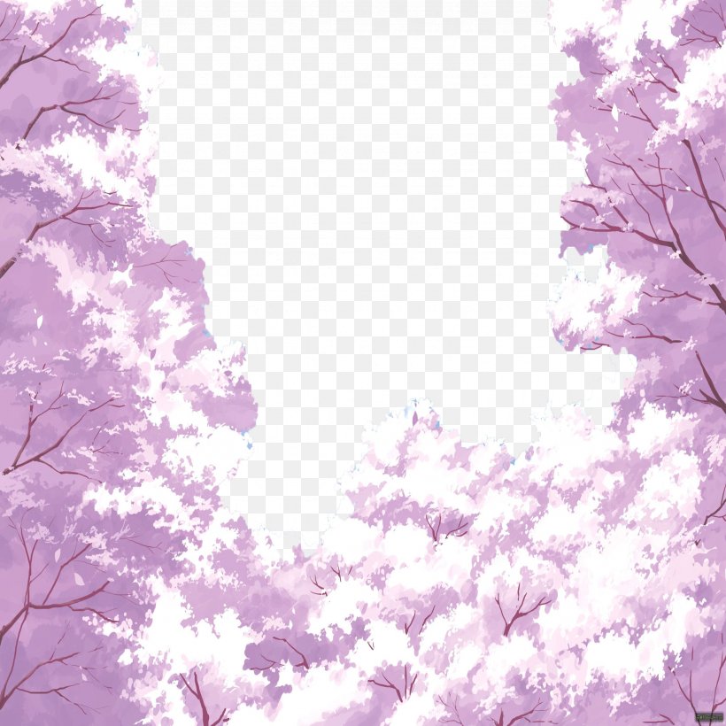 Cherry Blossom Cerasus, PNG, 2362x2363px, Cherry, Blossom, Branch, Cartoon, Cerasus Download Free