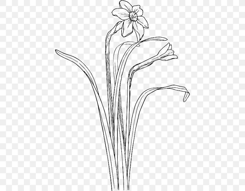 Clip Art Plant Stem Daffodil Drawing Flower, PNG, 451x640px, Plant Stem, Artwork, Black And White, Branch, Cut Flowers Download Free