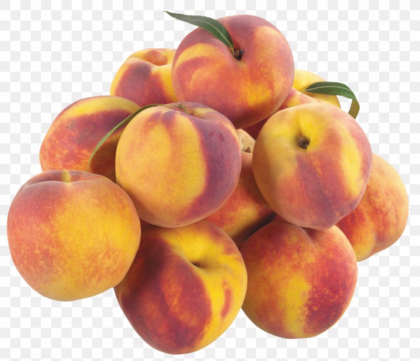 Peach Fruit Clip Art, PNG, 1500x1291px, Peach, Cherry, Food, Fruit, Local Food Download Free