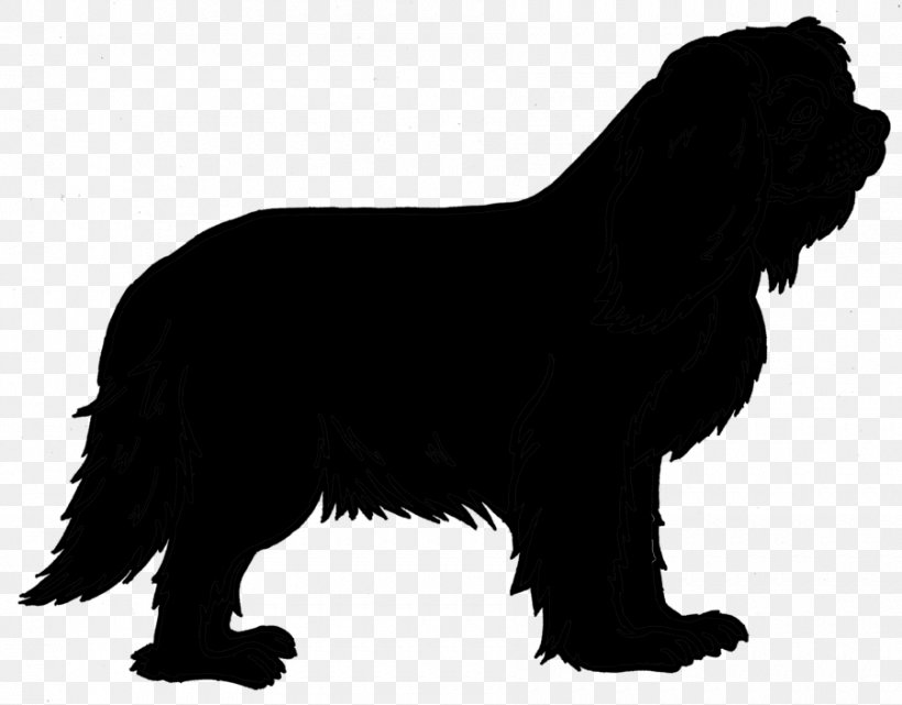Sheltie Vector Graphics Royalty-free Stock Illustration, PNG, 900x704px, Sheltie, Canidae, Carnivore, Cocker Spaniel, Companion Dog Download Free