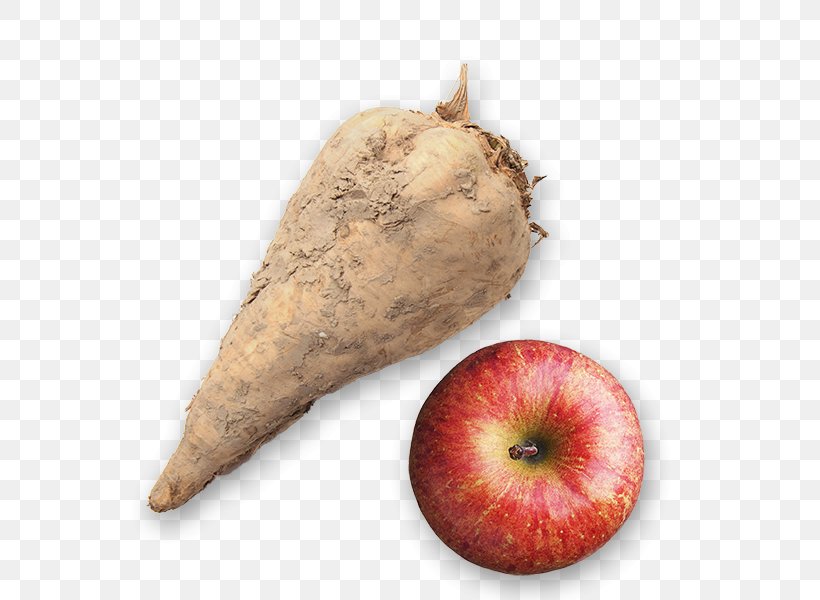 Sugar Beet Canisius Apple Butter Root Vegetables, PNG, 600x600px, Sugar, Apple Butter, Balanced, Canisius Golden Griffins, Flavor Download Free