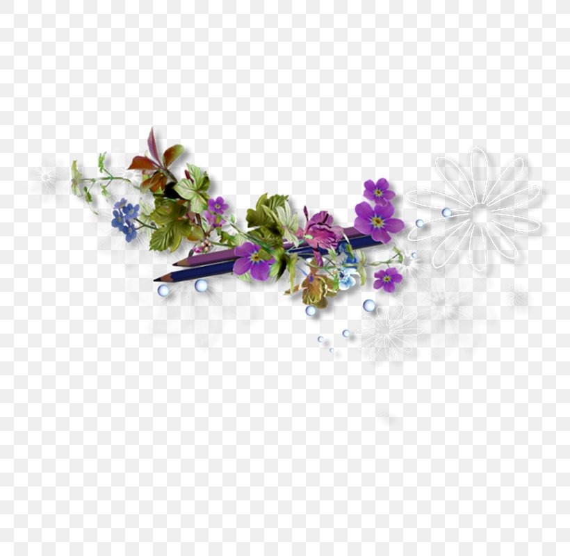 TinyPic Photography Floral Design, PNG, 800x800px, Tinypic, Blossom, Branch, Digital Image, Drawing Download Free