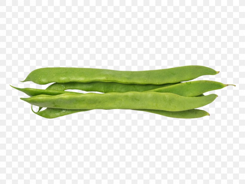 Green Bean Vegetable Food Common Bean, PNG, 866x650px, Green Bean, Adzuki Bean, Bean, Broad Bean, Common Bean Download Free