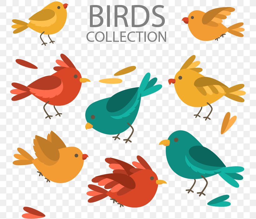 Lovebird Feather Illustration, PNG, 756x702px, Bird, Animal, Beak, Cartoon, Chicken Download Free