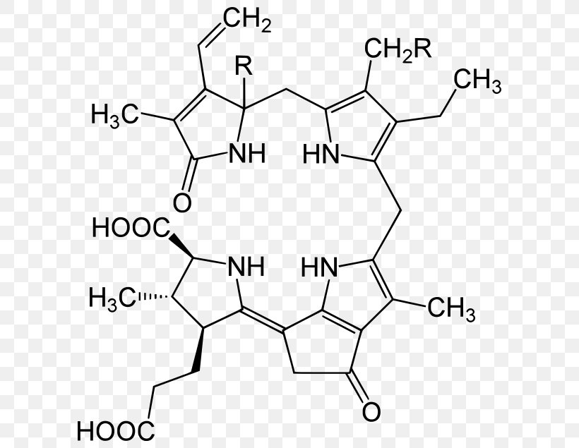 Luciferin Luciferase Dinoflagellates Lingulodinium Polyedra Bioluminescence, PNG, 620x635px, Luciferin, Area, Bioluminescence, Black And White, Chlorophyll Download Free