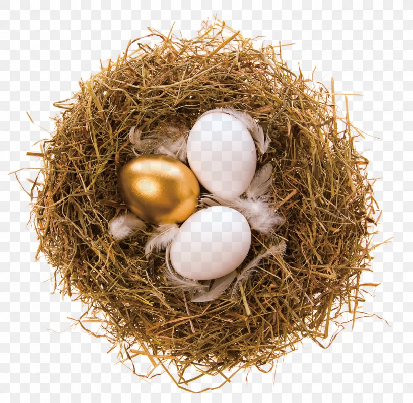 Bald Eagle Bird Nest Bird Nest Egg, PNG, 1400x1367px, Bald Eagle, Bird, Bird Egg, Bird Nest, Eagle Download Free