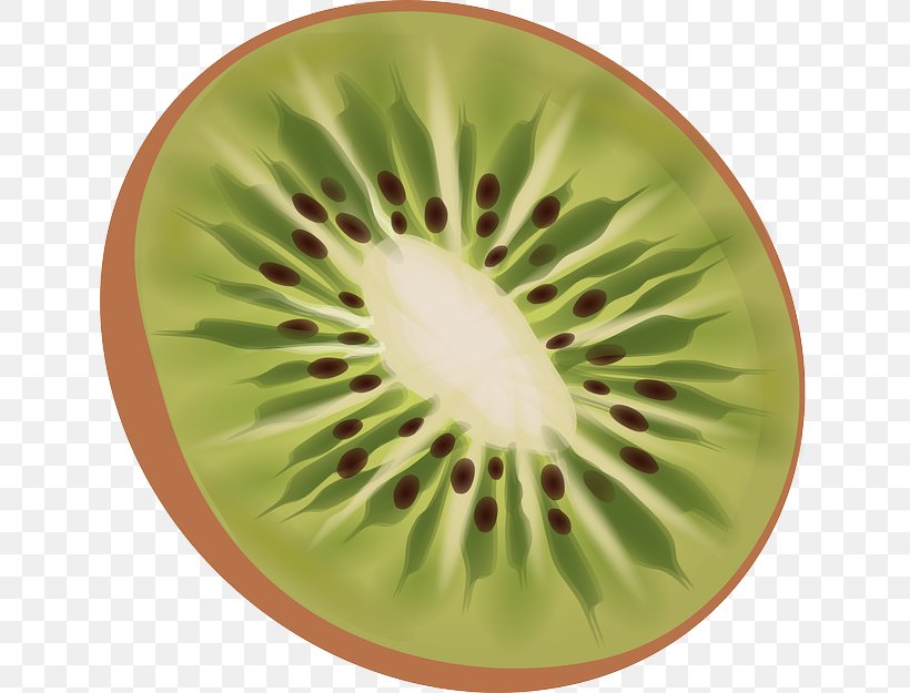 Fruit Salad Kiwifruit T-shirt OpenSUSE Clip Art, PNG, 640x625px, Fruit Salad, Food, Fruit, Github, Green Download Free