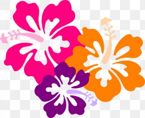 Hawaiian Lei Flower Clip Art, PNG, 600x516px, Hawaii, Aloha, Flower ...