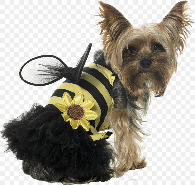 Puppy Cat Papillon Dog Halloween Costume, PNG, 1200x1141px, Puppy, Bumblebee, Cairn Terrier, Carnivoran, Cat Download Free