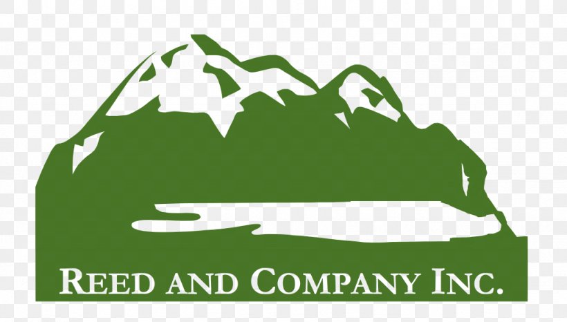 Reed & Company Inc Business Brand Management, PNG, 1024x583px, Business, Area, Brand, Building, Grass Download Free