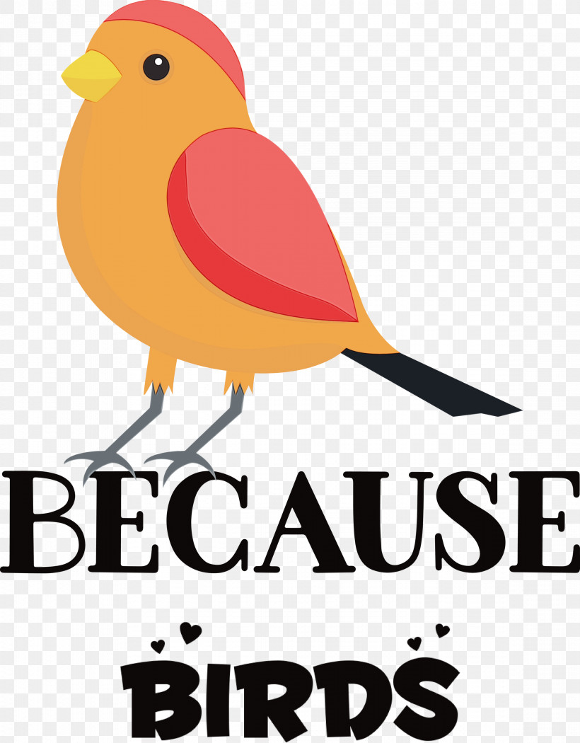 Birds Logo Meter Beak, PNG, 2341x3000px, Bird, Animal, Beak, Biology, Birds Download Free