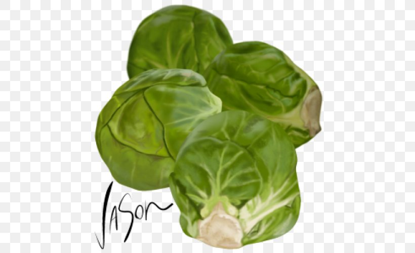 Brussels Sprout Vegetarian Cuisine Collard Greens Capitata Group Spring Greens, PNG, 500x500px, Brussels Sprout, Basil, Brassica, Cabbage, Capitata Group Download Free