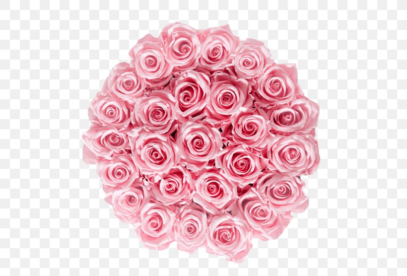 Garden Roses Cabbage Rose Cut Flowers Floral Design, PNG, 600x556px, Garden Roses, Bouquet, Cabbage Rose, Cut Flowers, Floral Design Download Free