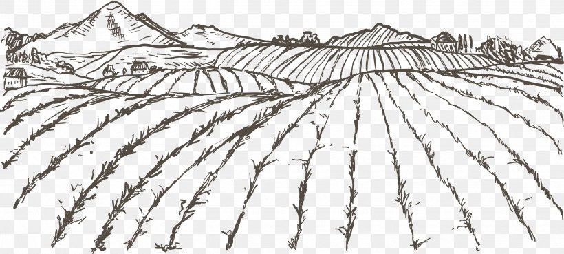 Agriculture Farmer Drawing, PNG, 2479x1118px, Agriculture, Artwork, Black And White, Branch, Crop Download Free