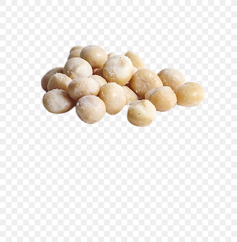 Macadamia Nộm Spice Flavor Sugar, PNG, 600x838px, Macadamia, Bee, Flavor, Food, Honey Download Free