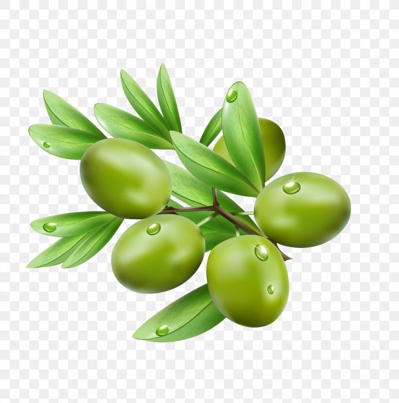 Olive Leaf Illustration, PNG, 1012x1024px, Olive, Drawing, Food, Fruit, Olive Branch Download Free
