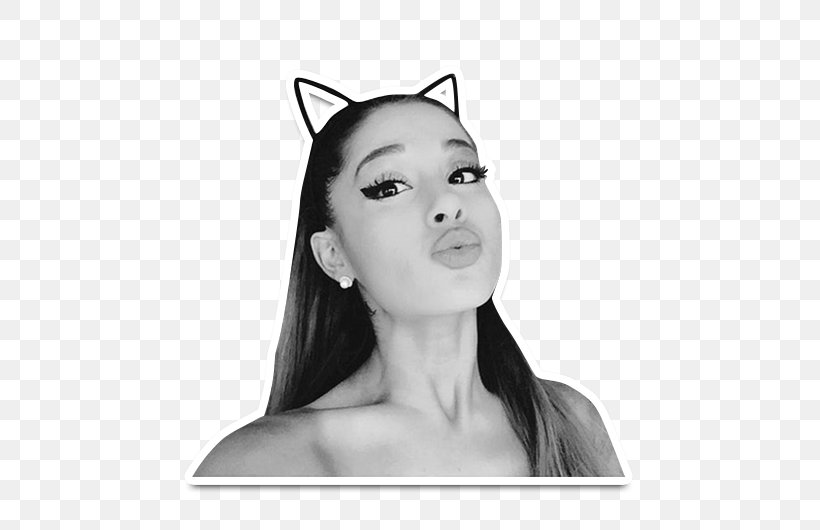 Ariana Grande Black And White Moonlight Dangerous Woman Arianators, PNG, 530x530px, Watercolor, Cartoon, Flower, Frame, Heart Download Free