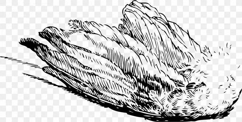 Bird Wing Feather Clip Art, PNG, 2400x1218px, Bird, Angel Wing, Bird Flight, Black And White, Drawing Download Free
