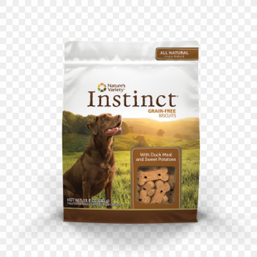 Croquette Dog Cat Food, PNG, 1200x1200px, Croquette, Alimento Saludable, Biscuit, Cat, Cat Food Download Free