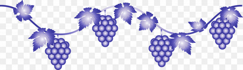 Grape Grapevine Family Purple Plant Fruit, PNG, 3000x876px, Grape, Berry, Flower, Fruit, Grapes Download Free