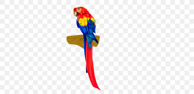 Parrot Lovebird Clip Art, PNG, 299x398px, Parrot, Beak, Bird, Birdcage, Drawing Download Free