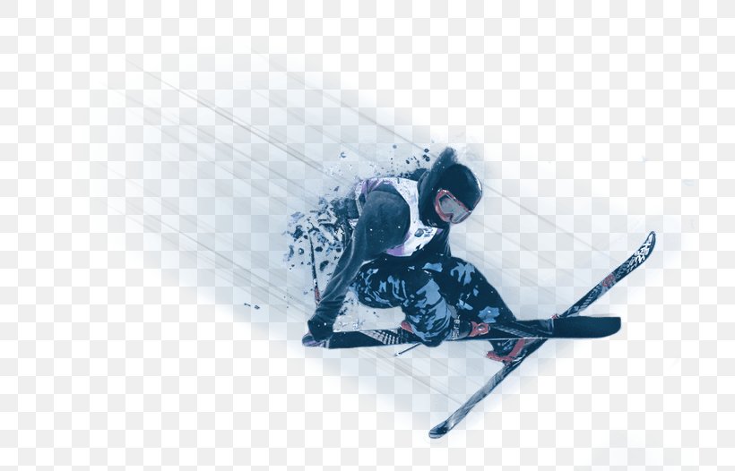 Skiing Alto Campoo Winter Sport Snowboarding, PNG, 728x526px, Skiing, Lift Ticket, Motel, School, Ski School Download Free