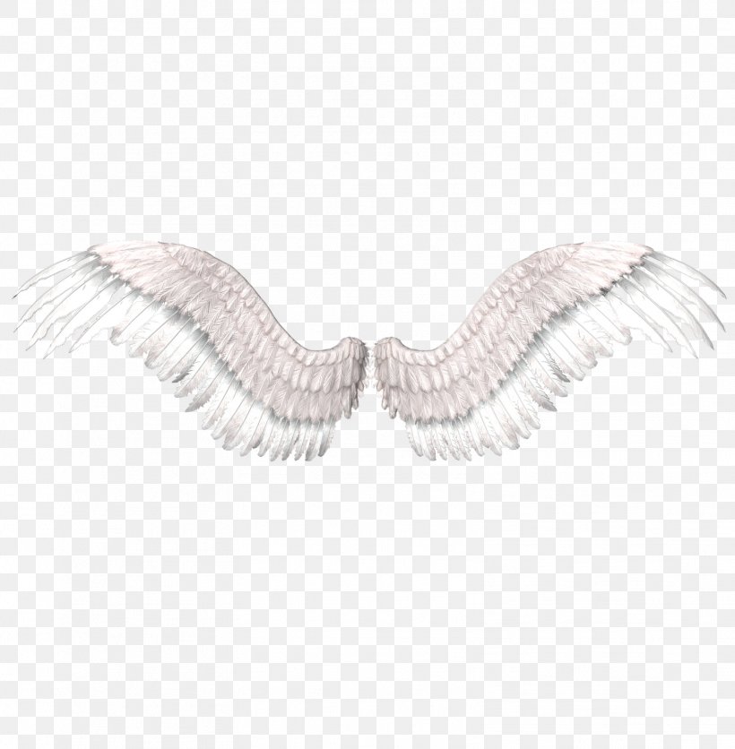 Wing Clip Art, PNG, 1569x1600px, Wing, Alphabet, Feather, Graphic Artist, Jewellery Download Free