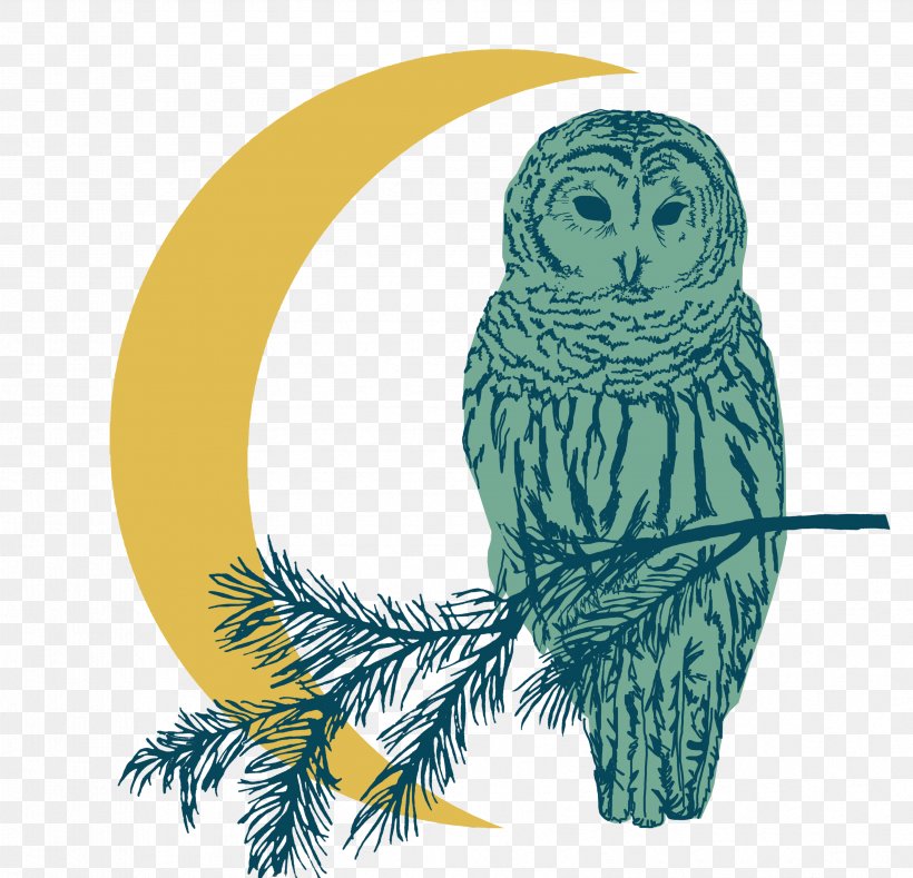 Cartoon Nature Background, PNG, 3363x3238px, Owl, Barn Owl, Bird, Bird Of Prey, Drawing Download Free