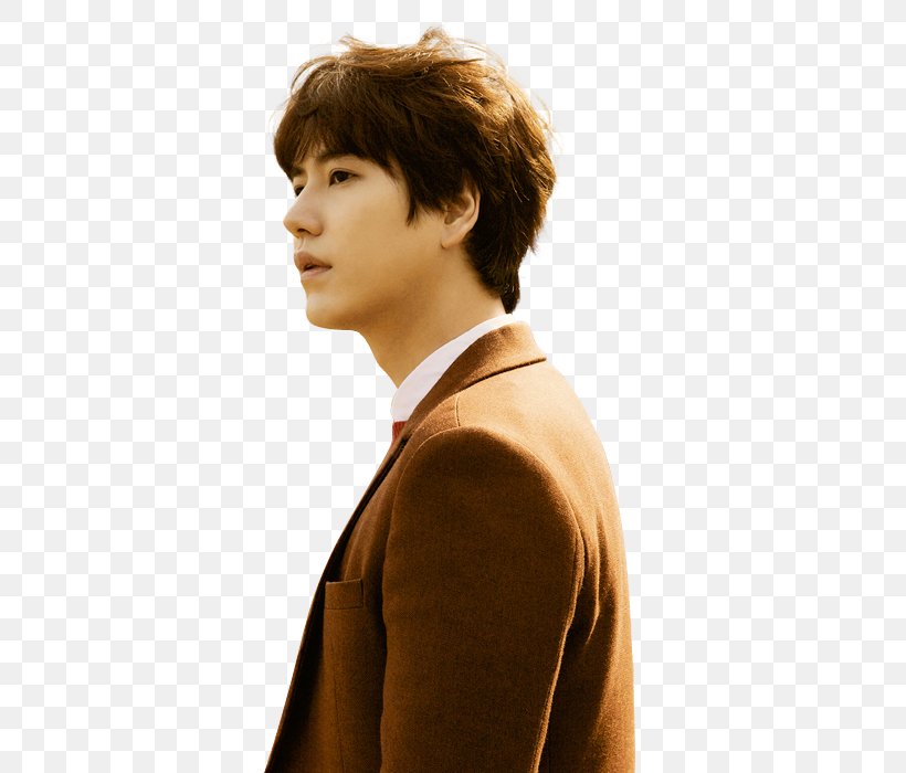 Cho Kyuhyun Super Junior At Gwanghwamun 7 Years Of Love Kim Kibum, PNG, 386x700px, Cho Kyuhyun, At Gwanghwamun, Bangs, Bob Cut, Brown Hair Download Free