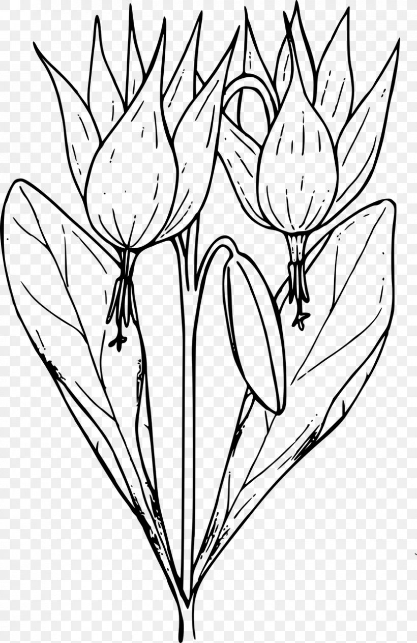 Coloring Book Floral Design Flower Clip Art, PNG, 830x1280px, Coloring Book, Artwork, Black And White, Branch, Child Download Free