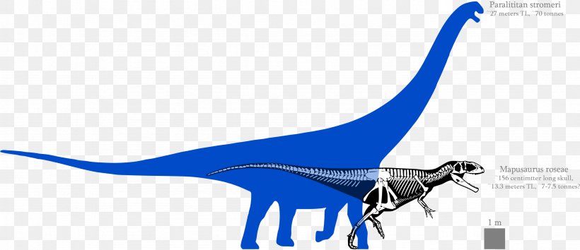 Mapusaurus Argentinosaurus Paralititan Bruhathkayosaurus Tyrannosaurus, PNG, 2772x1200px, Mapusaurus, Amphicoelias, Argentinosaurus, Blue, Bruhathkayosaurus Download Free