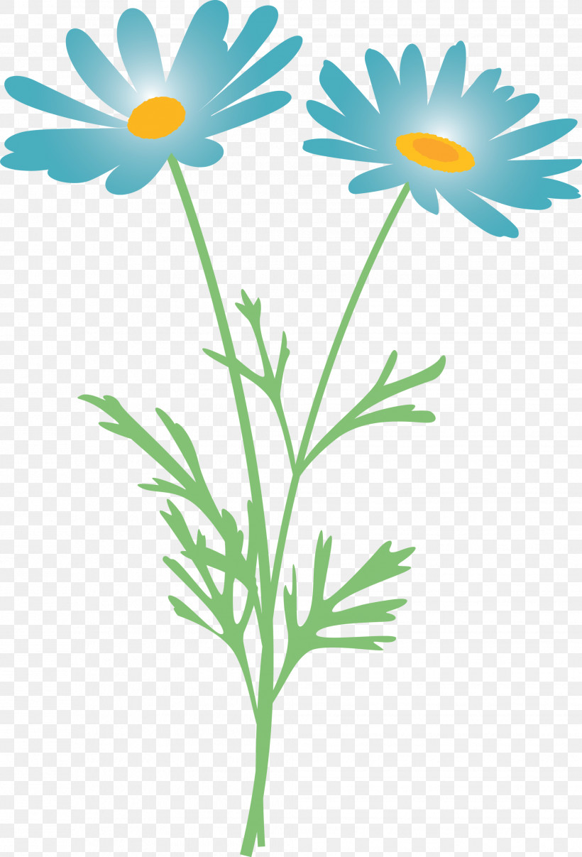 Marguerite Flower Spring Flower, PNG, 2037x2999px, Marguerite Flower, Camomile, Chamaemelum Nobile, Chamomile, Daisy Download Free